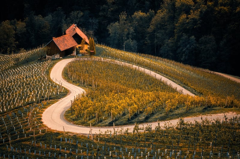 Medieval Era